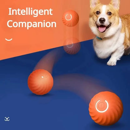 Automatic Moving Dog Toy Ball Smart USB Jumping Rotating Interactive Dog Chew Toy Ball for Puppy Ball Toys